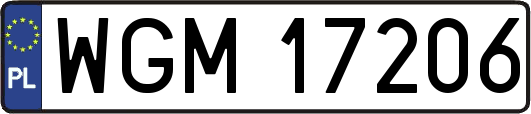 WGM17206