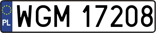 WGM17208