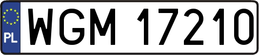 WGM17210