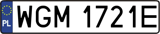 WGM1721E