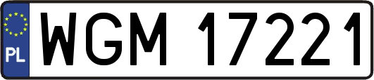 WGM17221