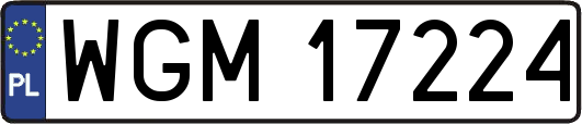 WGM17224