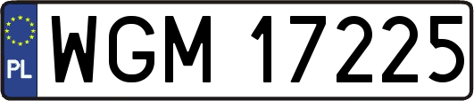 WGM17225