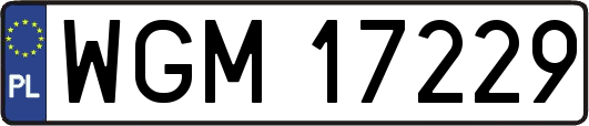 WGM17229