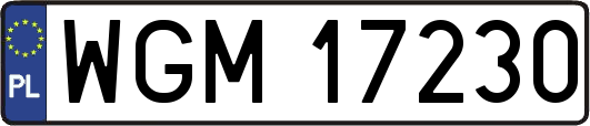 WGM17230
