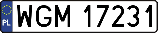 WGM17231