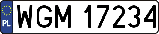 WGM17234