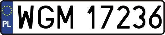 WGM17236