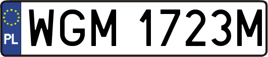 WGM1723M