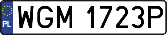 WGM1723P