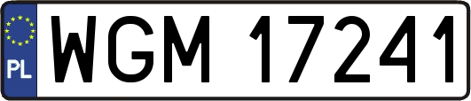 WGM17241