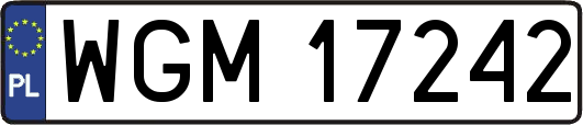 WGM17242