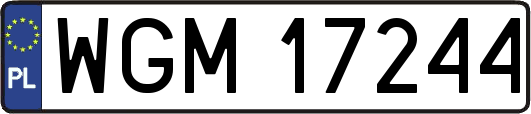 WGM17244