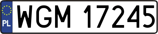 WGM17245