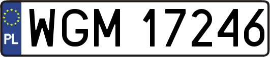 WGM17246