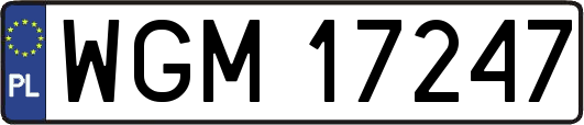 WGM17247