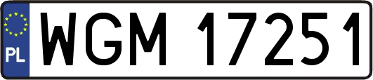 WGM17251