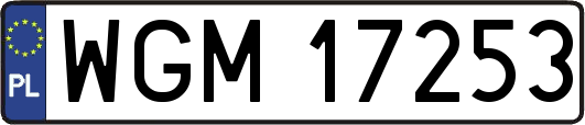 WGM17253