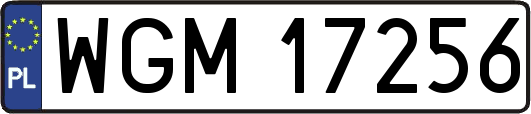 WGM17256