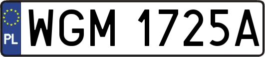 WGM1725A