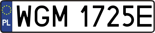 WGM1725E