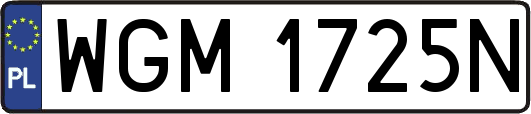WGM1725N
