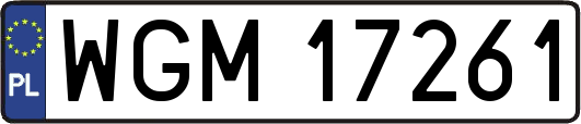 WGM17261