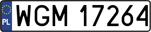 WGM17264