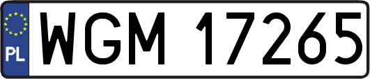 WGM17265