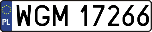 WGM17266