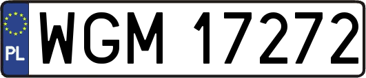 WGM17272