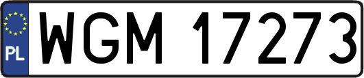 WGM17273