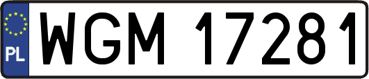 WGM17281