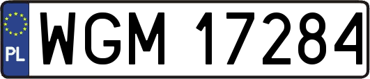 WGM17284