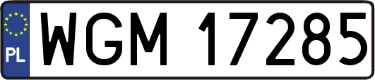 WGM17285