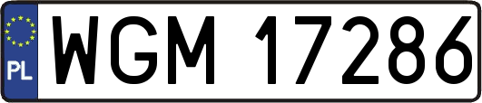 WGM17286