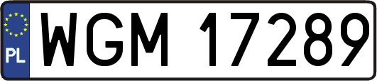 WGM17289