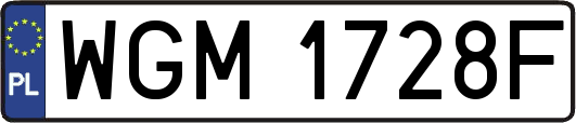 WGM1728F