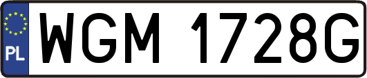WGM1728G