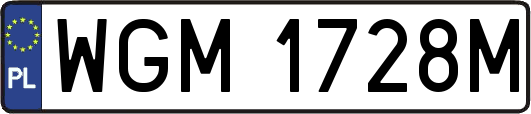 WGM1728M