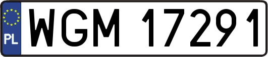 WGM17291