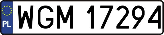 WGM17294