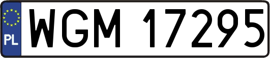 WGM17295