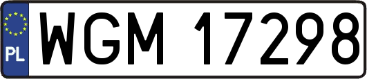 WGM17298
