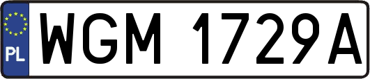 WGM1729A