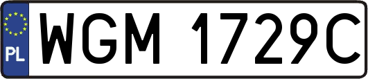WGM1729C