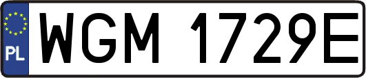 WGM1729E