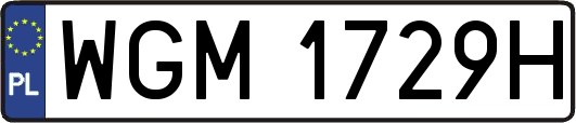 WGM1729H