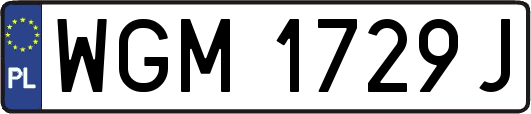 WGM1729J
