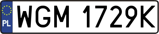 WGM1729K